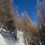Allalin View * Saas-Fee